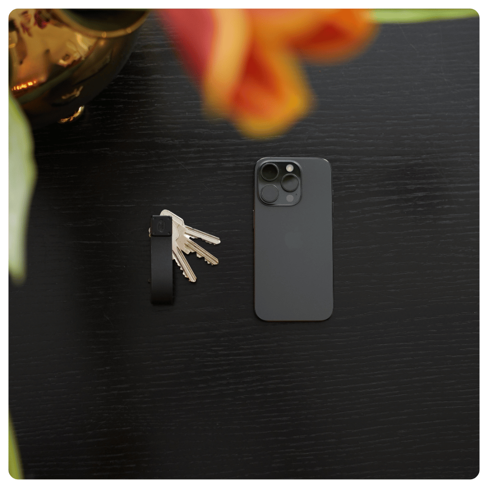 Key Organizer